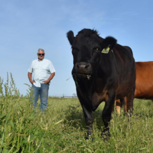 Grazed CA Beef