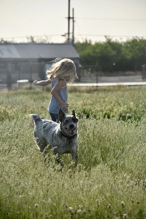 Grandaughter and her dog on Free Range Farm